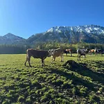 Riederhof Inkl. Chiemgaukarte * Рупольдинг