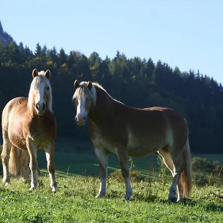 Riederhof Inkl. Chiemgaukarte * Ruhpolding