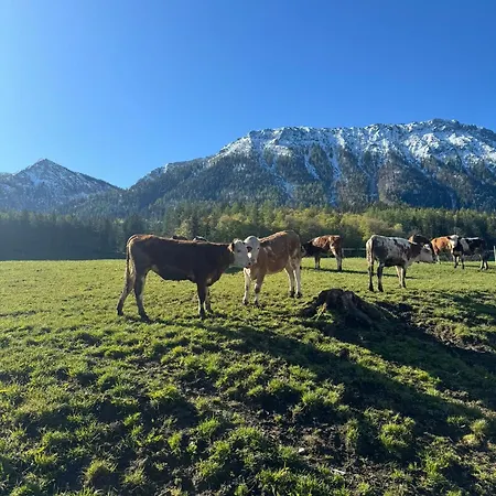 Riederhof Inkl. Chiemgaukarte * Ruhpolding