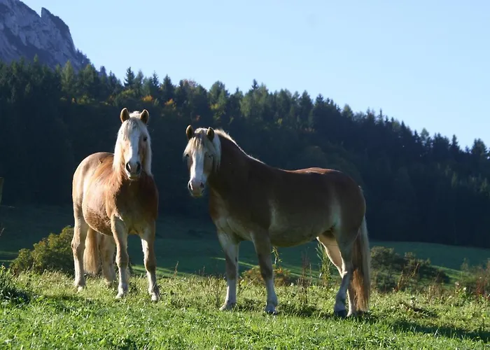 Riederhof Inkl. Chiemgaukarte * Ruhpolding